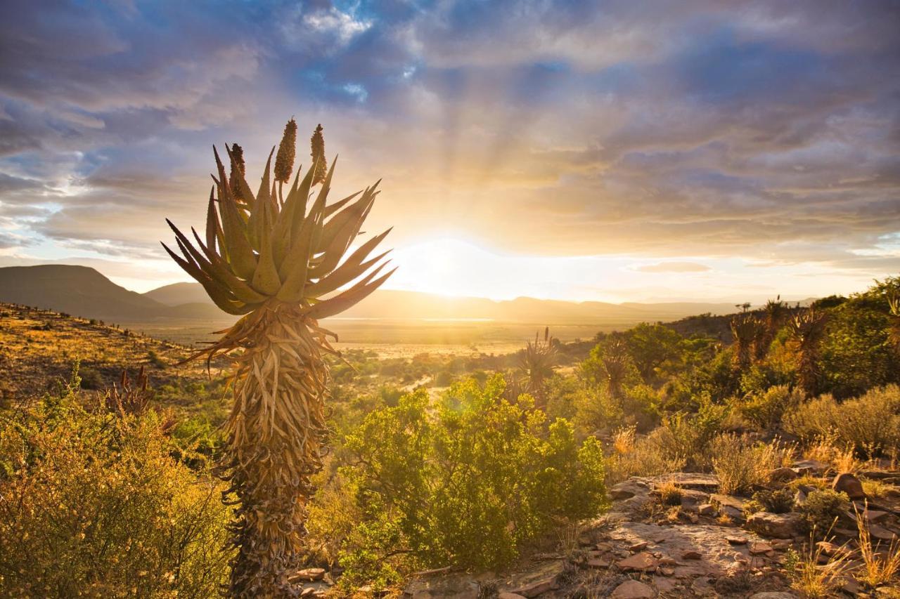Sunbird Cottage Graaff-Reinet Екстериор снимка